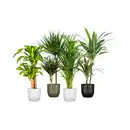 Bild 3 von Mica Decorations Pflanztopf, Hx⌀ 21,5 x 21,5 cm, rund, weiß matt