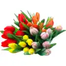 Bild 1 von Tulpenstrauß