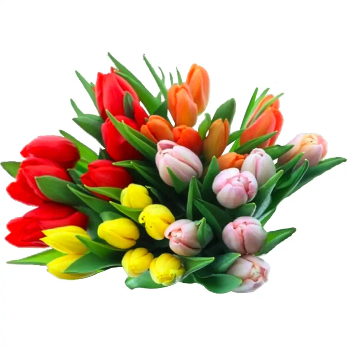 Bild 1 von Tulpenstrauß