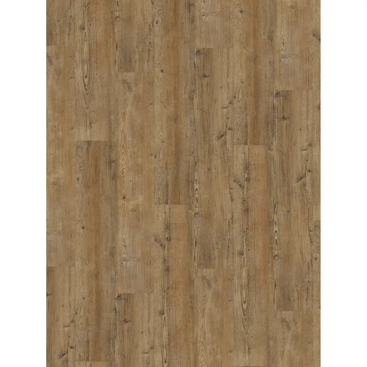 Bild 1 von Parador Vinylboden 'Basic 30' Pinie Toscana Braun 9,4 mm