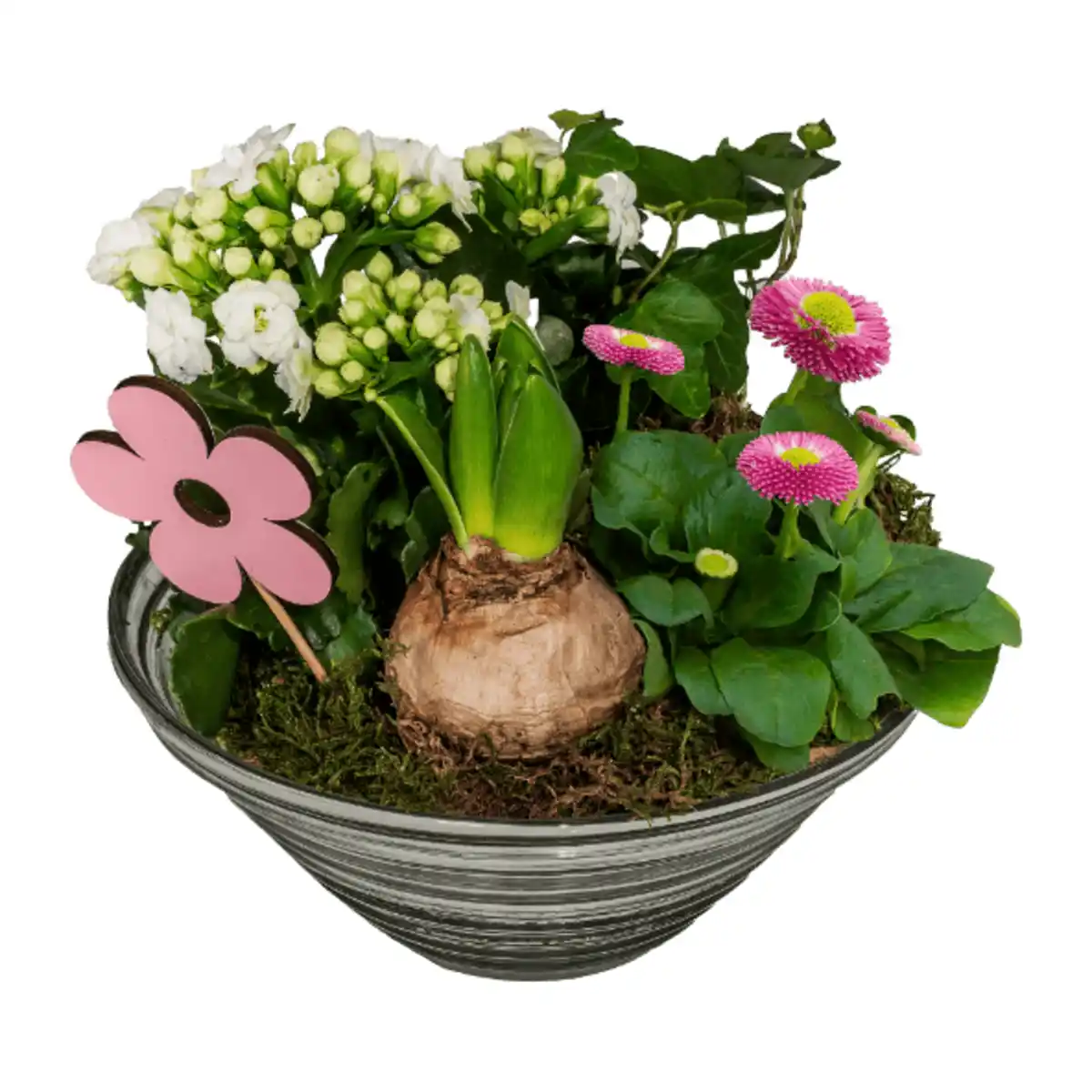 Bild 2 von GARDENLINE Frühlingsschale