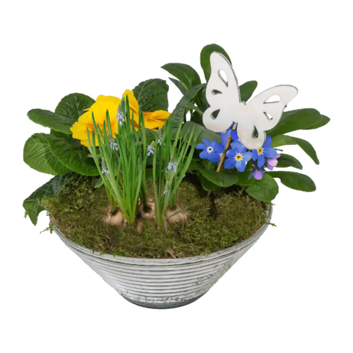 Bild 3 von GARDENLINE Frühlingsschale