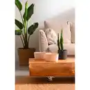 Bild 4 von CURVER Aufbewahrungskorb »SOFTEX«, 3 L, blau