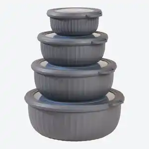 Vorratsdosen-Set, 4-teilig