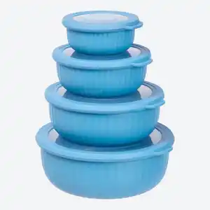 Vorratsdosen-Set, 4-teilig