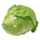 Bild 1 von Eisbergsalat