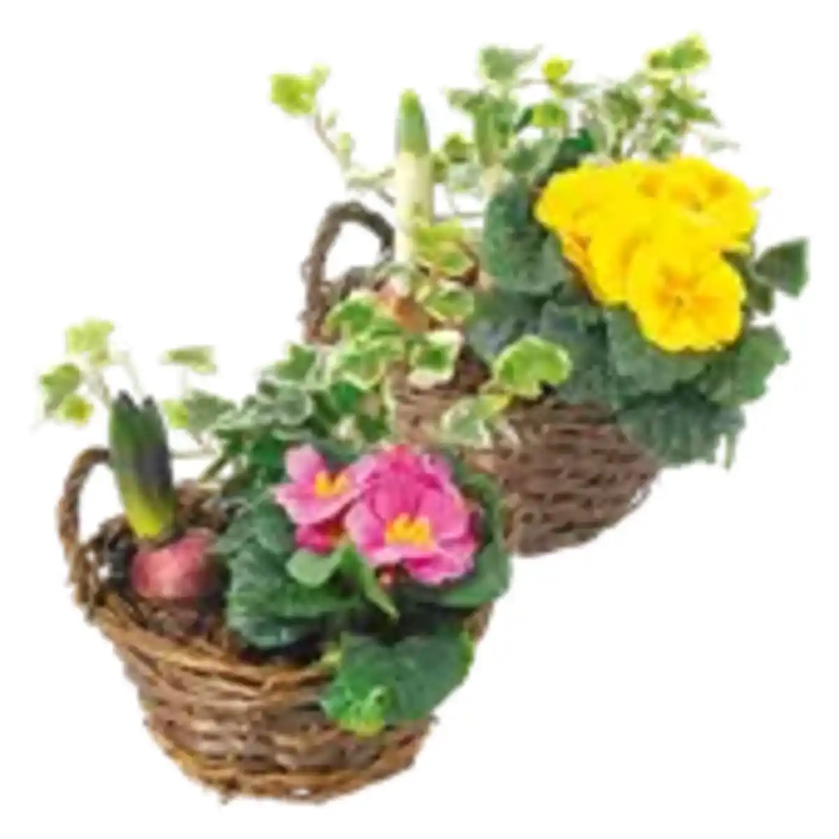 Bild 1 von Bepflanzter Holzkorb mit Frühlingsblumen