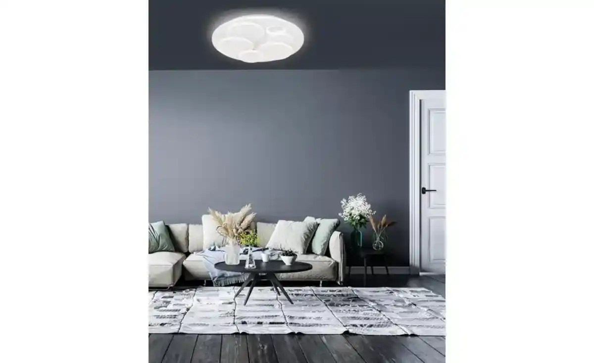 Bild 1 von Fischer-Honsel Deckenleuchte