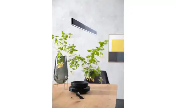 Bild 3 von SCHÖNER WOHNEN Kollektion Pendelleuchte