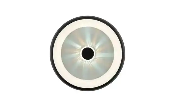 Bild 3 von Paul Neuhaus Deckenleuchte