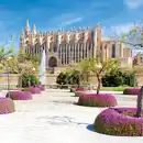 Bild 1 von Orangenblüte auf Mallorca - Playa de Palma