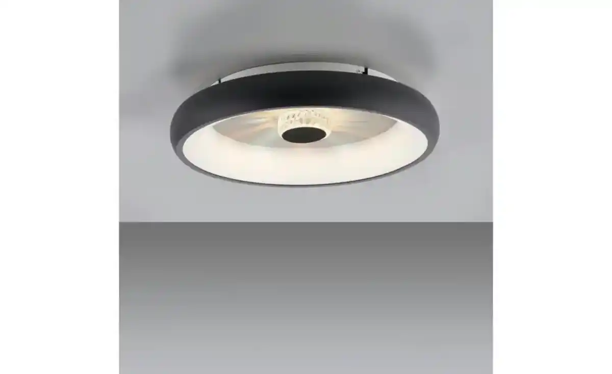 Bild 1 von Paul Neuhaus Deckenleuchte