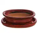 Bild 1 von Dehner Keramik-Bonsaischale, oval, rot