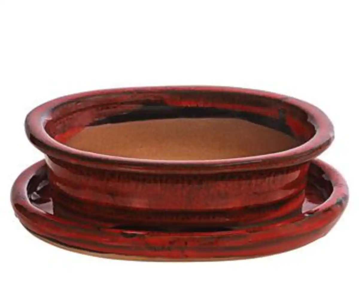 Bild 1 von Dehner Keramik-Bonsaischale, oval, rot