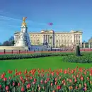 Bild 1 von Sommer in London