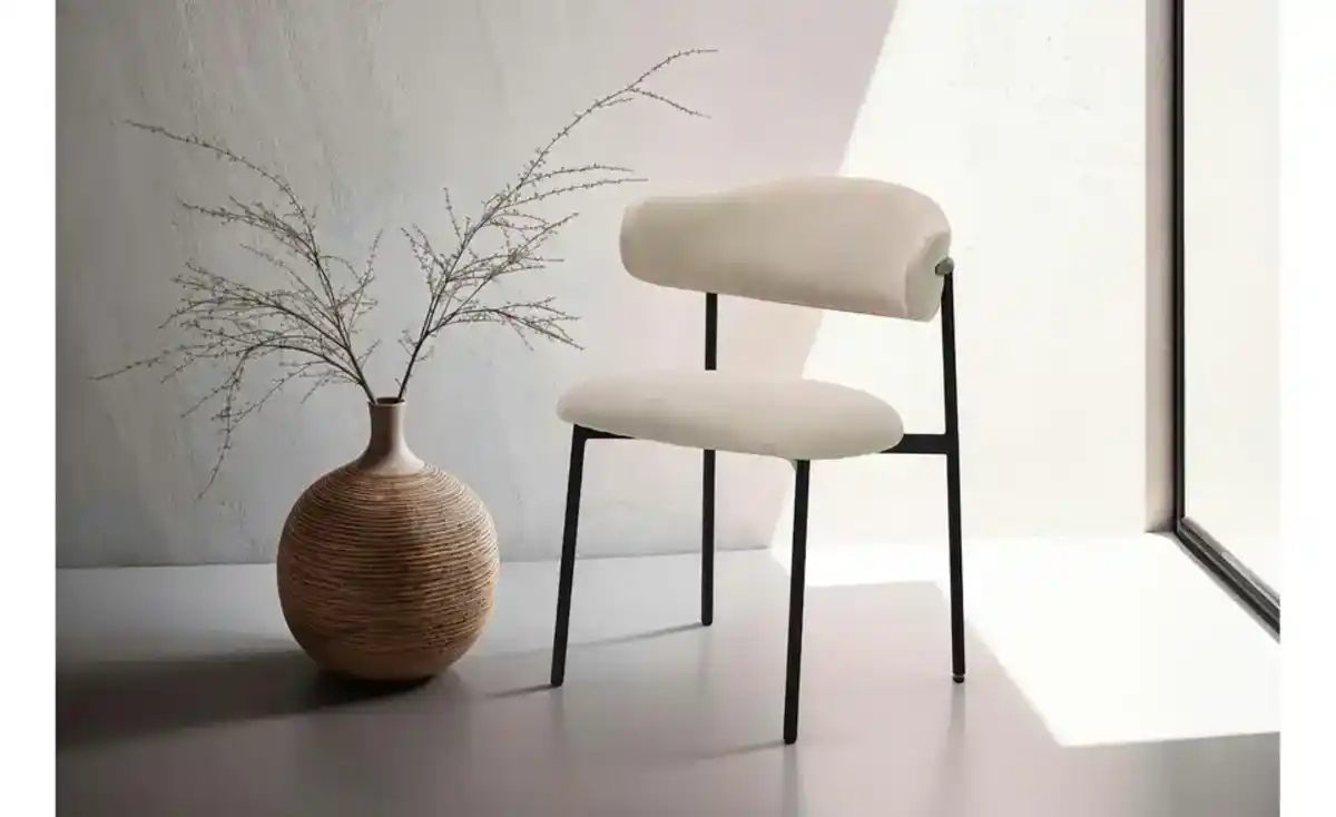 Bild 1 von by Living Esszimmerstuhl 2er-Set Jersey