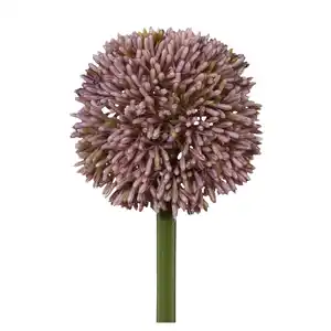 Allium II Flieder/Grün ca. 64cm, Flieder