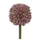 Bild 1 von Allium II Flieder/Grün ca. 64cm, Flieder