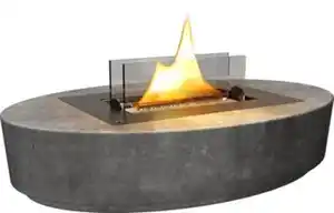 Tenderflame Carnation