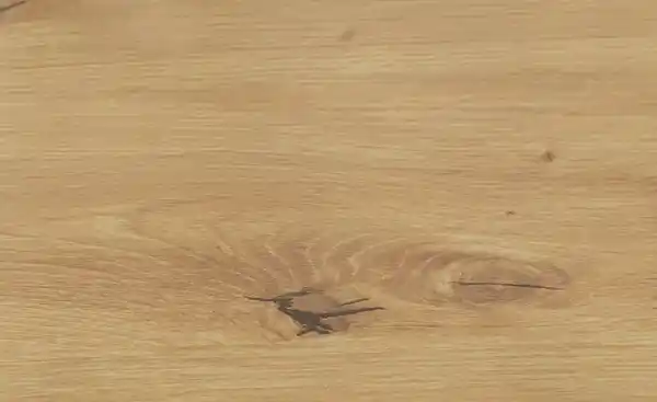 Bild 2 von Servierwagen Haiger