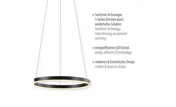 Bild 4 von Paul Neuhaus Pendelleuchte