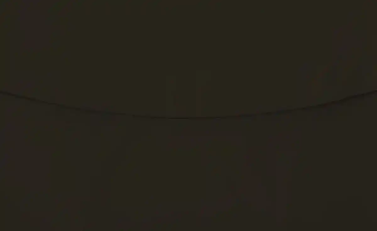 Bild 4 von Stressless Ledersessel Consul