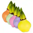 Bild 1 von Hyazinthe in Wachs