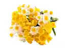 Bild 1 von Künstliches Narzissenbouquet Silikon