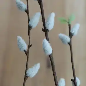 Künstliche Weidenkätzchen 132cm