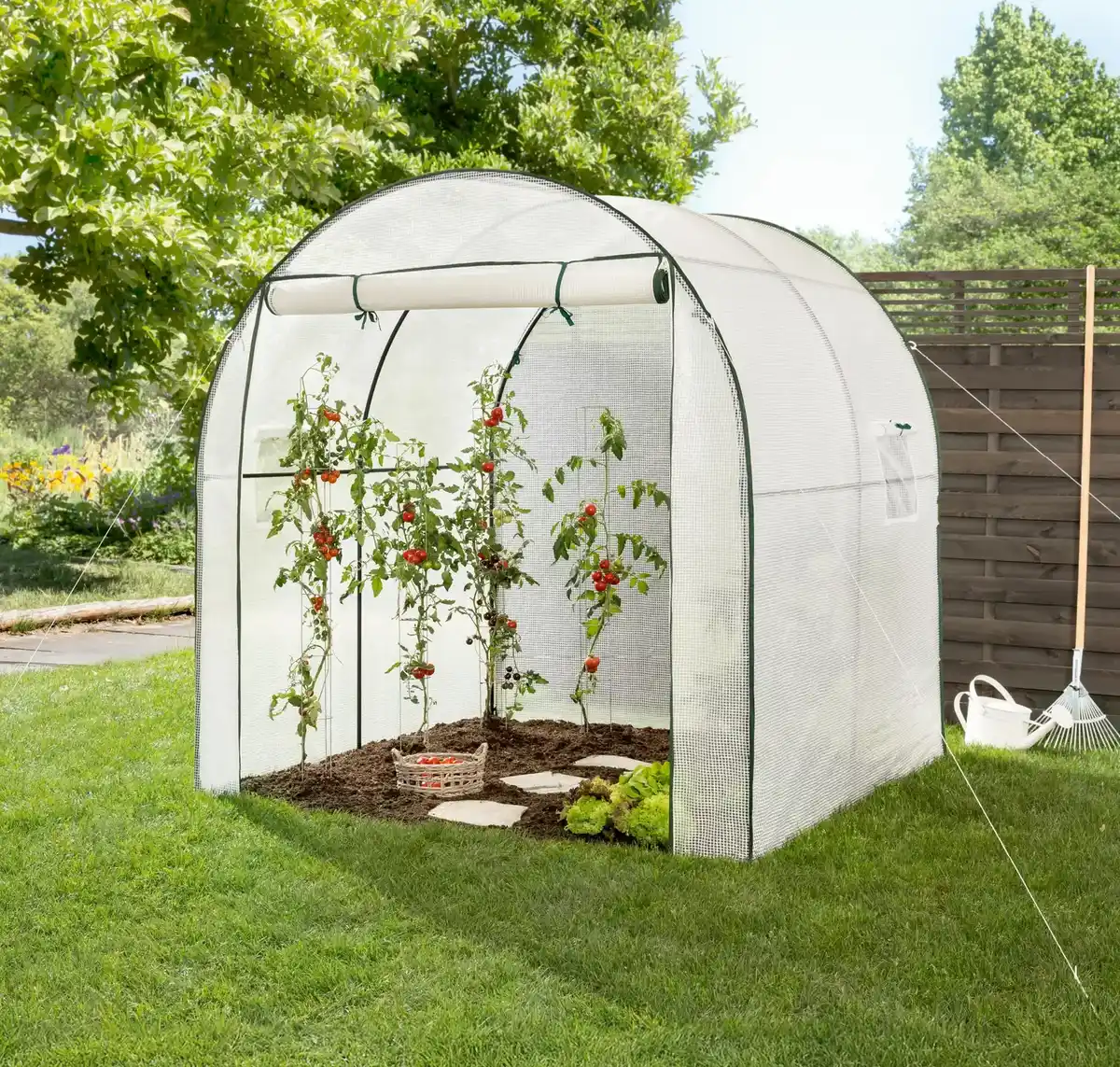 Bild 1 von Foliengewächshaus »Rudi«