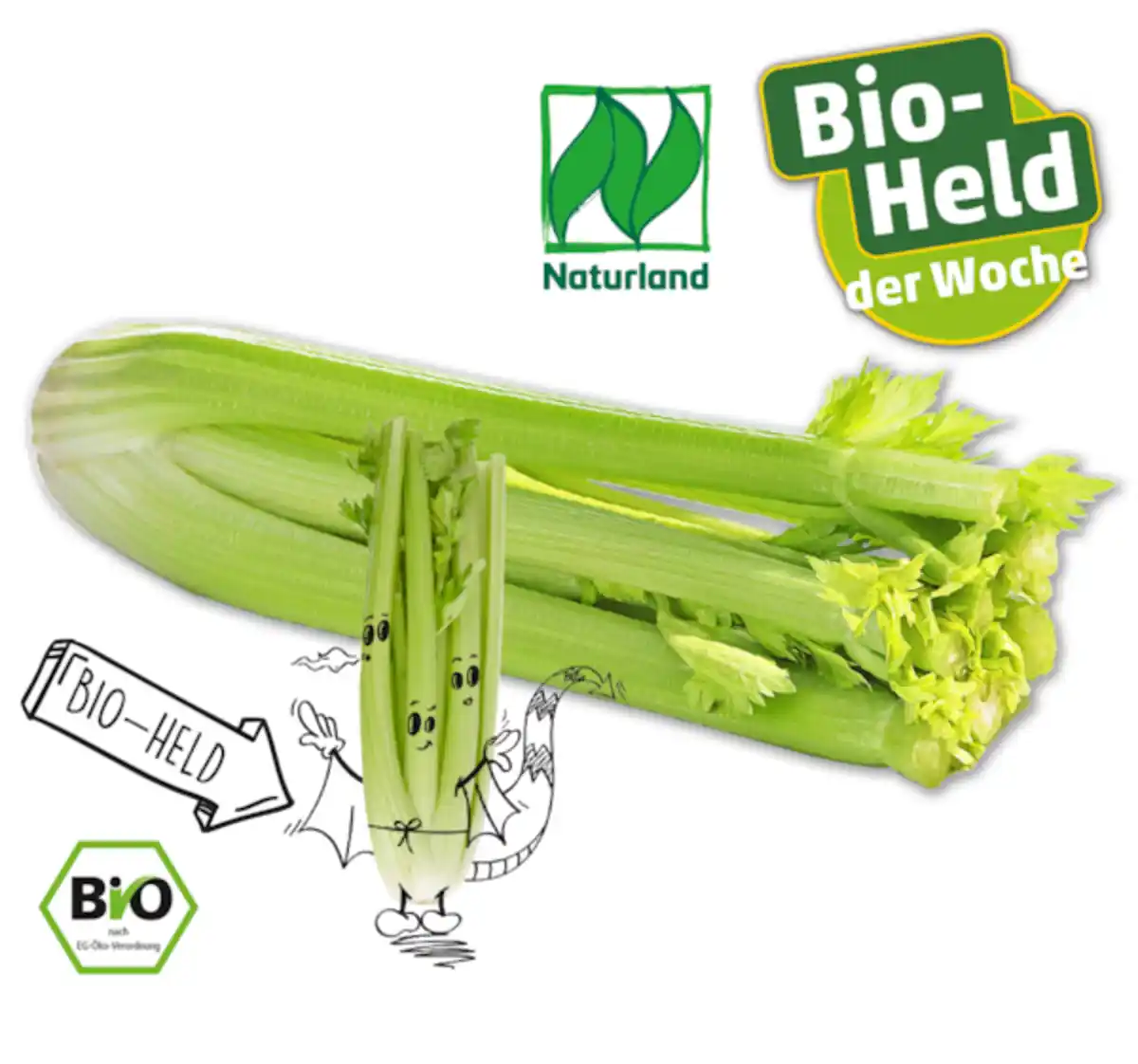 Bild 1 von NATURGUT Bio-Staudensellerie