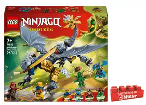 LEGO NINJAGO 71855 Showdown mit dem Ninja-Drachen Riyu, Ninja Spielzeug, 1 Stk