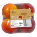 Bild 1 von GO Regio Junami