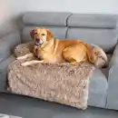 Bild 4 von ROMEO&CACHET Sofaschutz für Haustiere