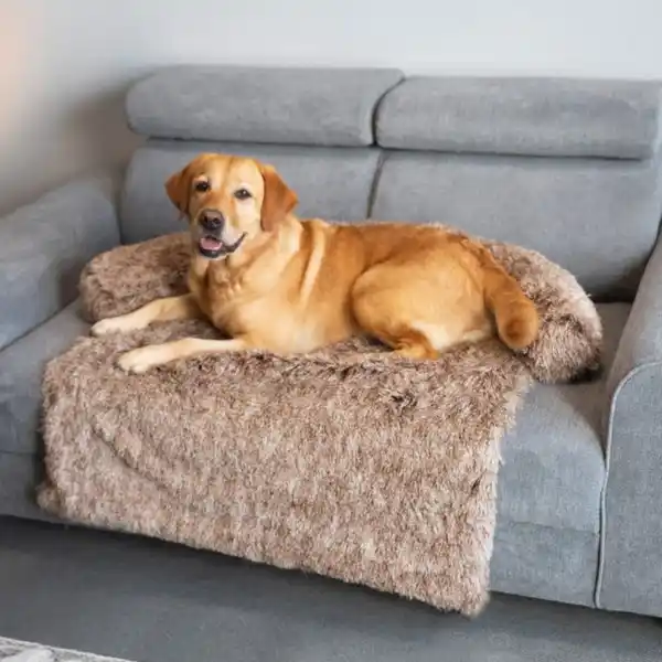 Bild 4 von ROMEO&CACHET Sofaschutz für Haustiere