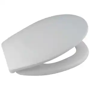 WELLWATER WC-Sitz, Duroplast, oval, mit Softclose-Funktion