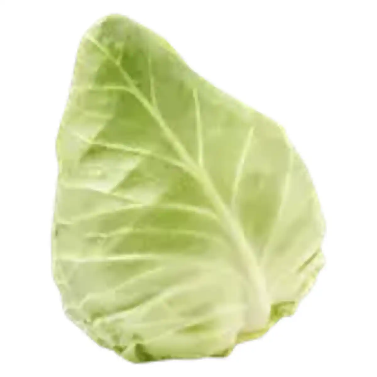 Bild 1 von GO Regio Spitzkohl