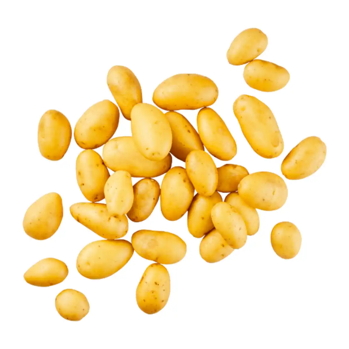 Bild 1 von Kleine Speisekartoffeln „Drillinge“ 1kg