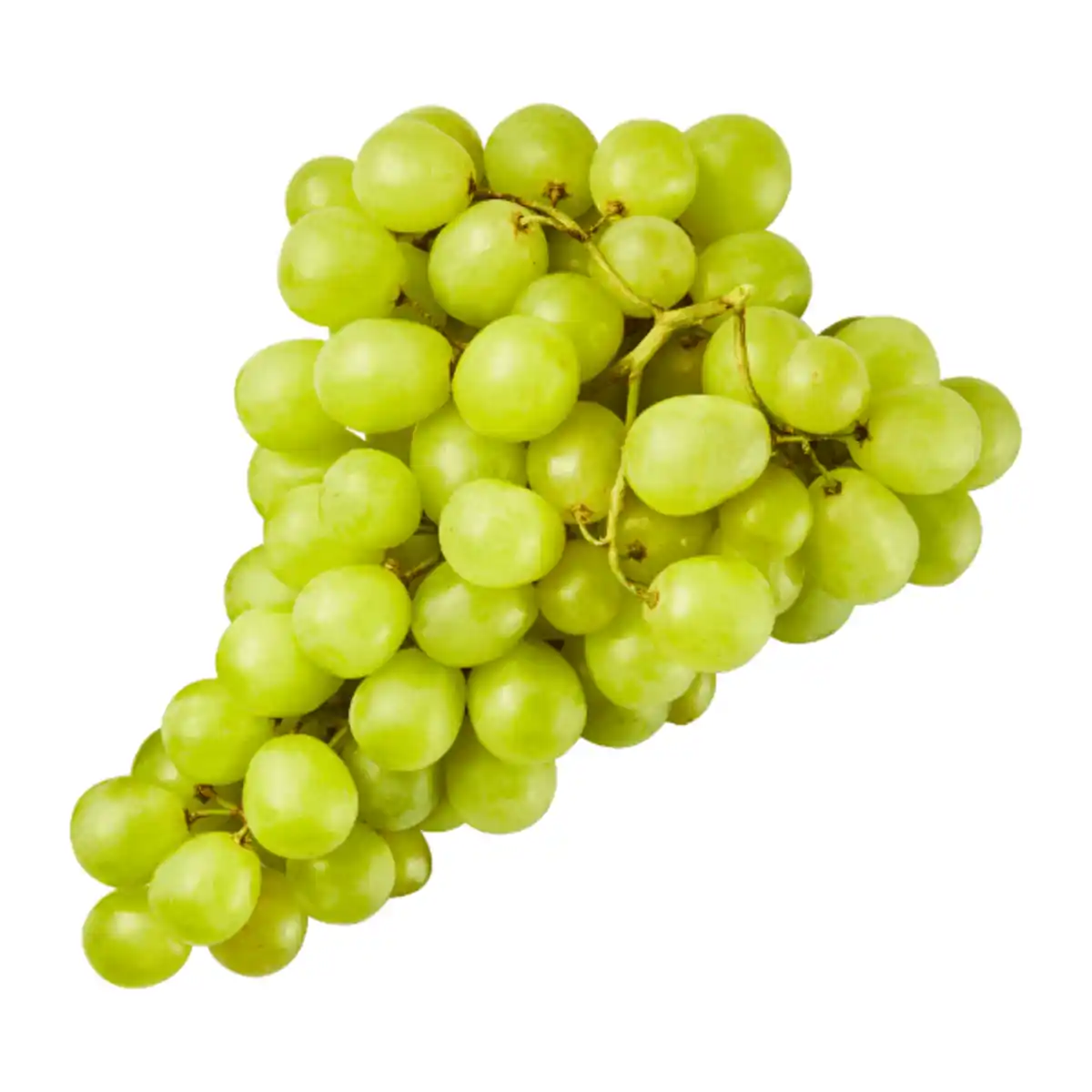 Bild 1 von Tafeltrauben hell 500g