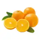 Bild 1 von Premieur Orangen