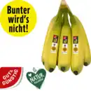 Bild 1 von Bananen