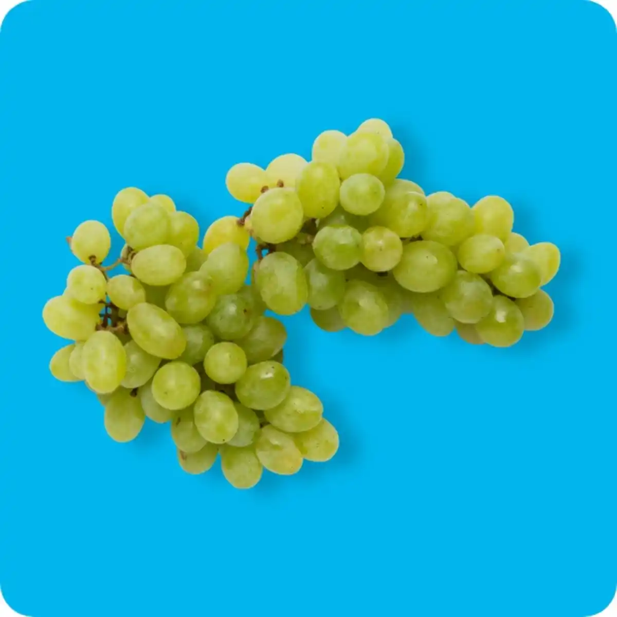 Bild 1 von   Trauben hell, Ursprung: siehe Etikett