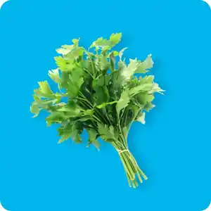   Petersilie, glatt, Ursprung: siehe Etikett