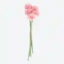 Bild 1 von Deko-Kunstblume "Grasnelke", 5er-Pack, ca. 26 cm