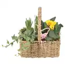 Bild 1 von GARDENLINE Korb mit Henkel