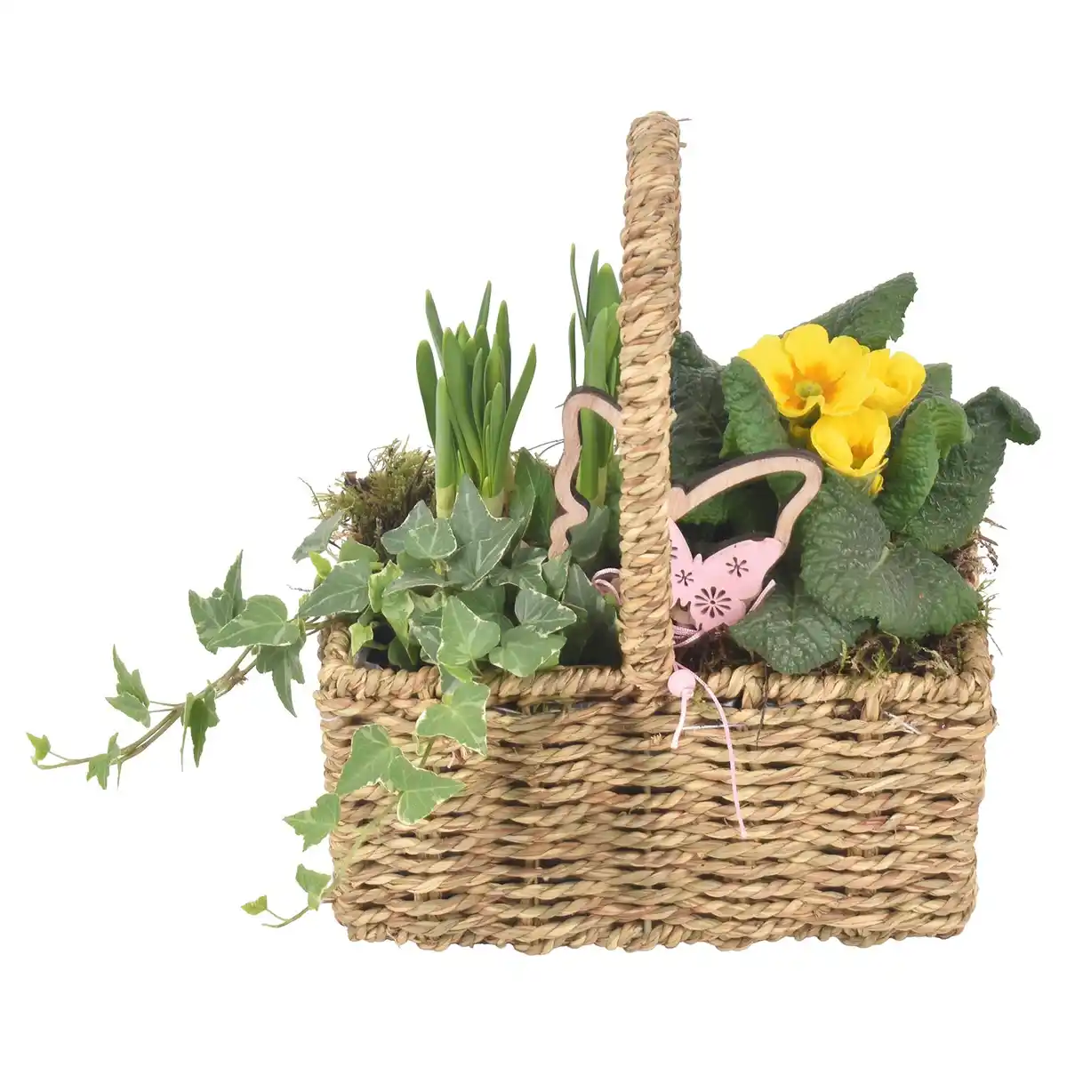 Bild 1 von GARDENLINE Korb mit Henkel