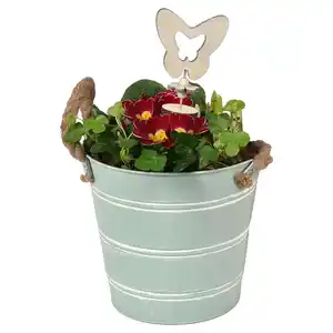 GARDENLINE Zinkeimer mit Kordelhenkel