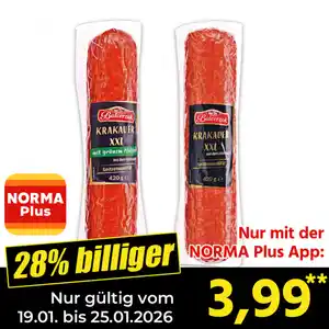 Balcerzak Krakauer XXL