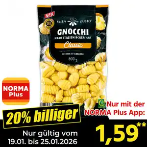 Villa Gusto Frische Gnocchi