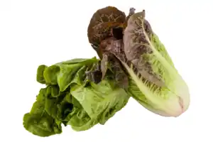 Salatherzen 2er-Pack